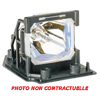 Lampe OPTOMA SP.7C601GC01