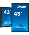 IIYAMA TF4339AS-B1AG IIYAMA TF4339AS-B1AG