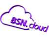 BRIGHTSIGN BSNCSUB-12-SB LICENCE IMMATERIELLE BSN CLOUD