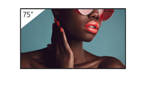 SONY FW-75BZ40L SONY FW-75BZ40L