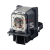 Lampe SONY LMP-C250