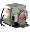 Lampe BENQ  5J.J0405.001