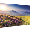 PROJECTA FULLVISION 10600724