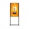 SCREEN'UP SP55XS4J/4P PACK 1088-S0012 *NEUF DEBALLE