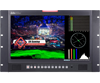 DATAVIDEO TLM-170VR